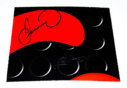 Autographed 2014 Danica Patrick #10 Godaddy Racing Team (Nice 2-Color Decal Piece) Large 3.5 X 4.5 Inch Signed Race-Used Nascar Sheetmetal With Coa 1