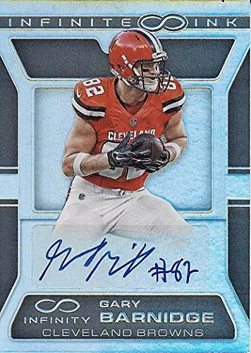 Gary Barnidge 2016 Panini Infinity Football Infinite Ink Autograph (Cleveland Browns Tight End) Rare Signed Insert Nfl Collectible Football Trading Card #157/288 1