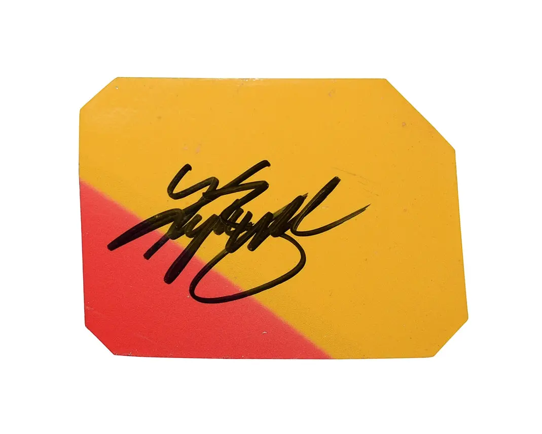 Autographed 2008 Kyle Busch #18 M&M's Racing Race Used Sheet Metal (Daytona 500 Car) 2-Color Yellow Piece Signed Nascar Collectible With Coa 1