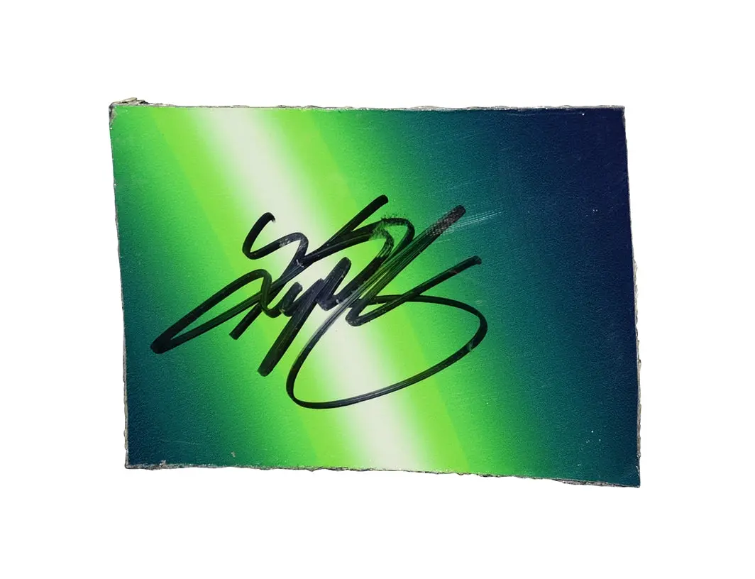 Autographed 2024 Kyle Busch #8 Zone Racing Race Used Sheet Metal (Sonoma Raceway) 4-Color Piece Signed Nascar Collectible With Coa 1