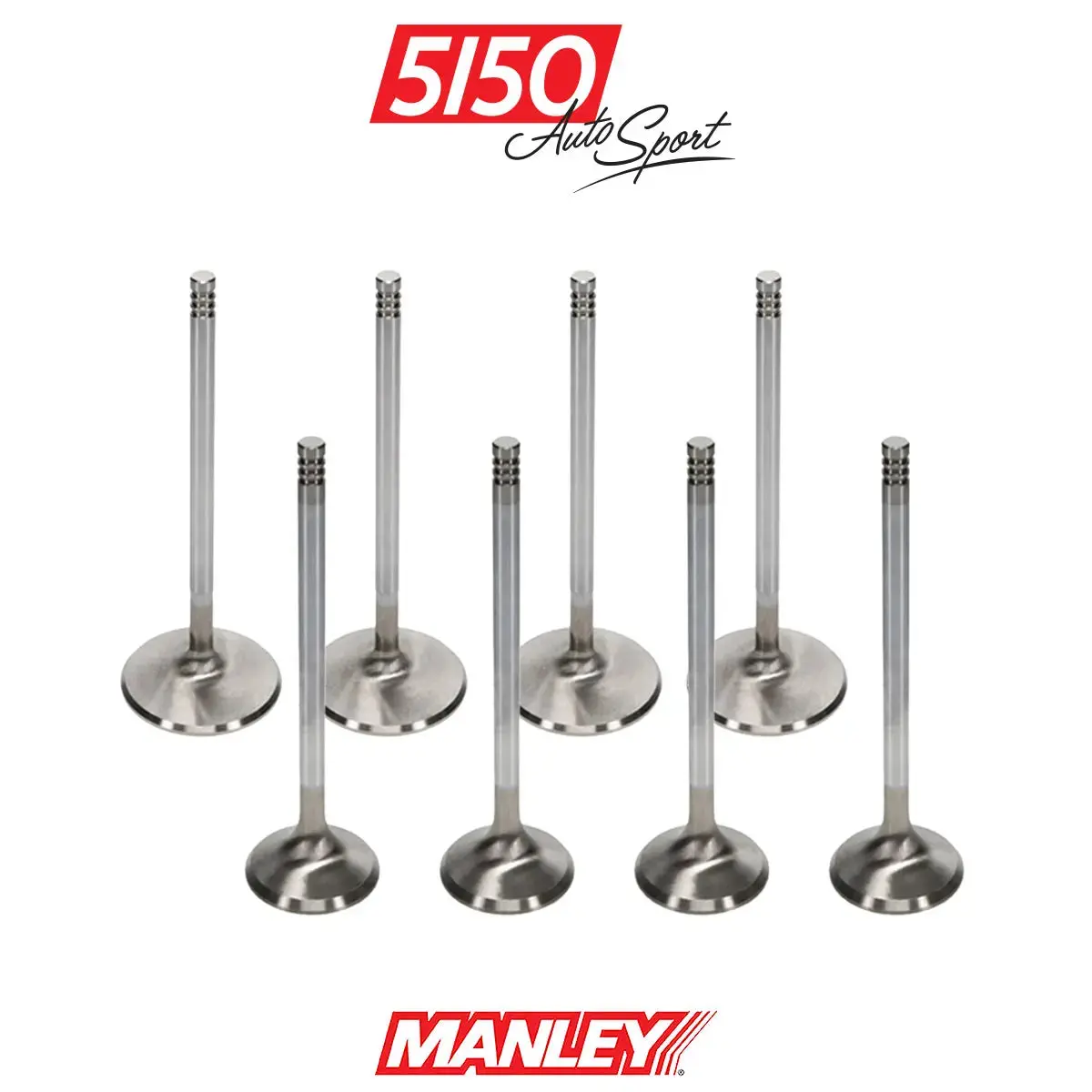 Bmw M10 Valve Set 1