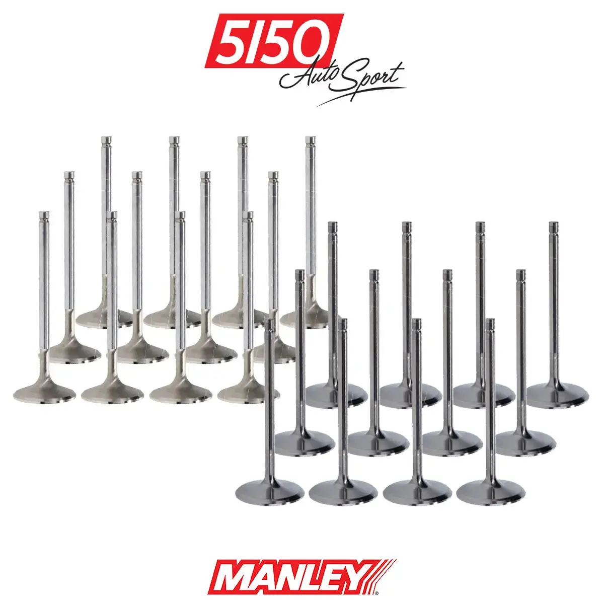 Bmw M52tu M54 Valve Set 1