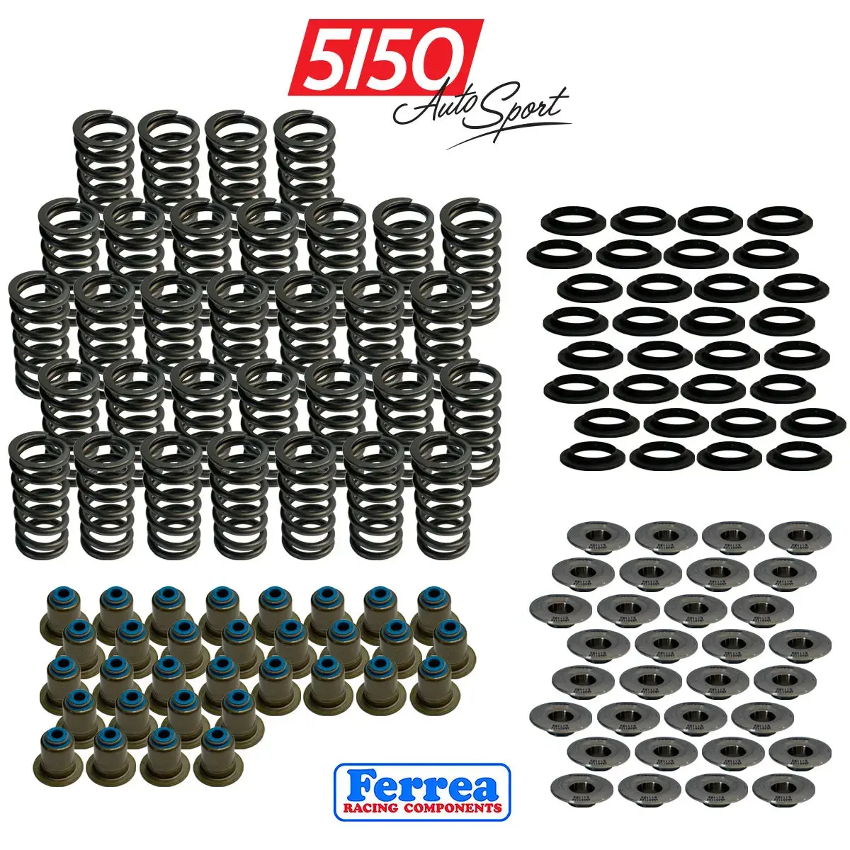 Bmw S68 Valve Spring Kit By Ferrea 1