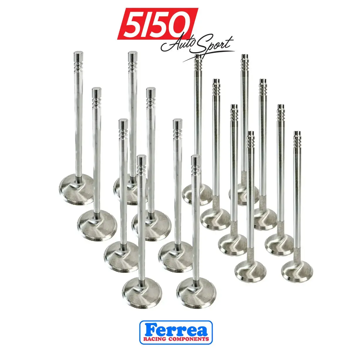 Bmw M40 / M42 / M43 / M44 Valves By Ferrea 1
