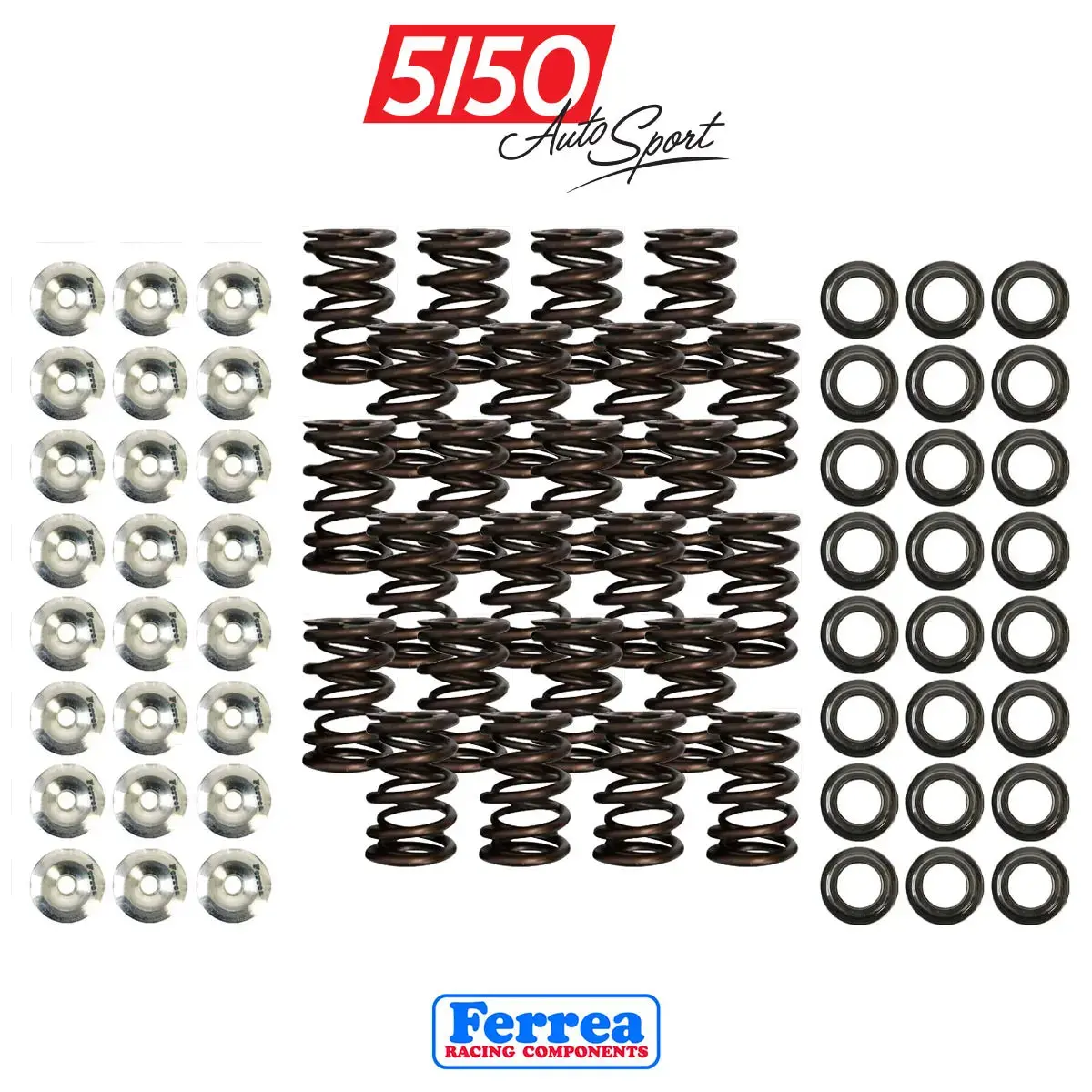 Bmw M52tu / M54 Valve Spring Kit By Ferrea 1