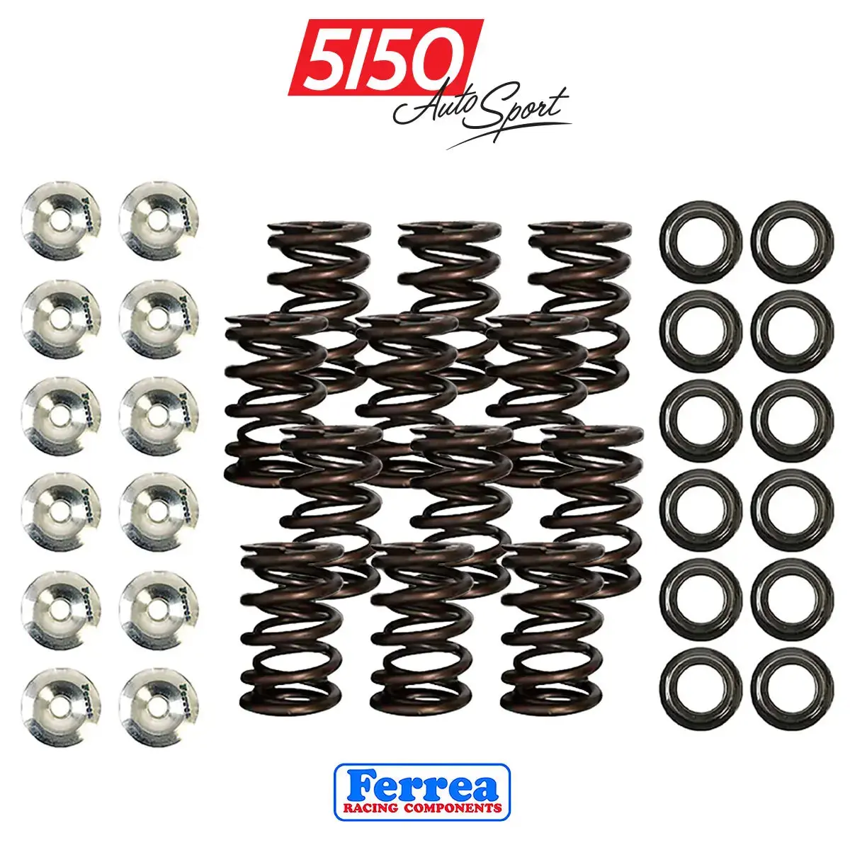 B38 Valve Spring Kit | Ferrea Racing | Bmw Mini 1