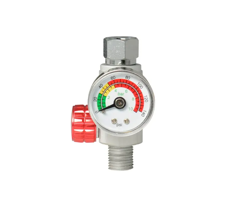 Regulador Línea Aire 1/4" Npt | Amflo/Tru-Flate 1