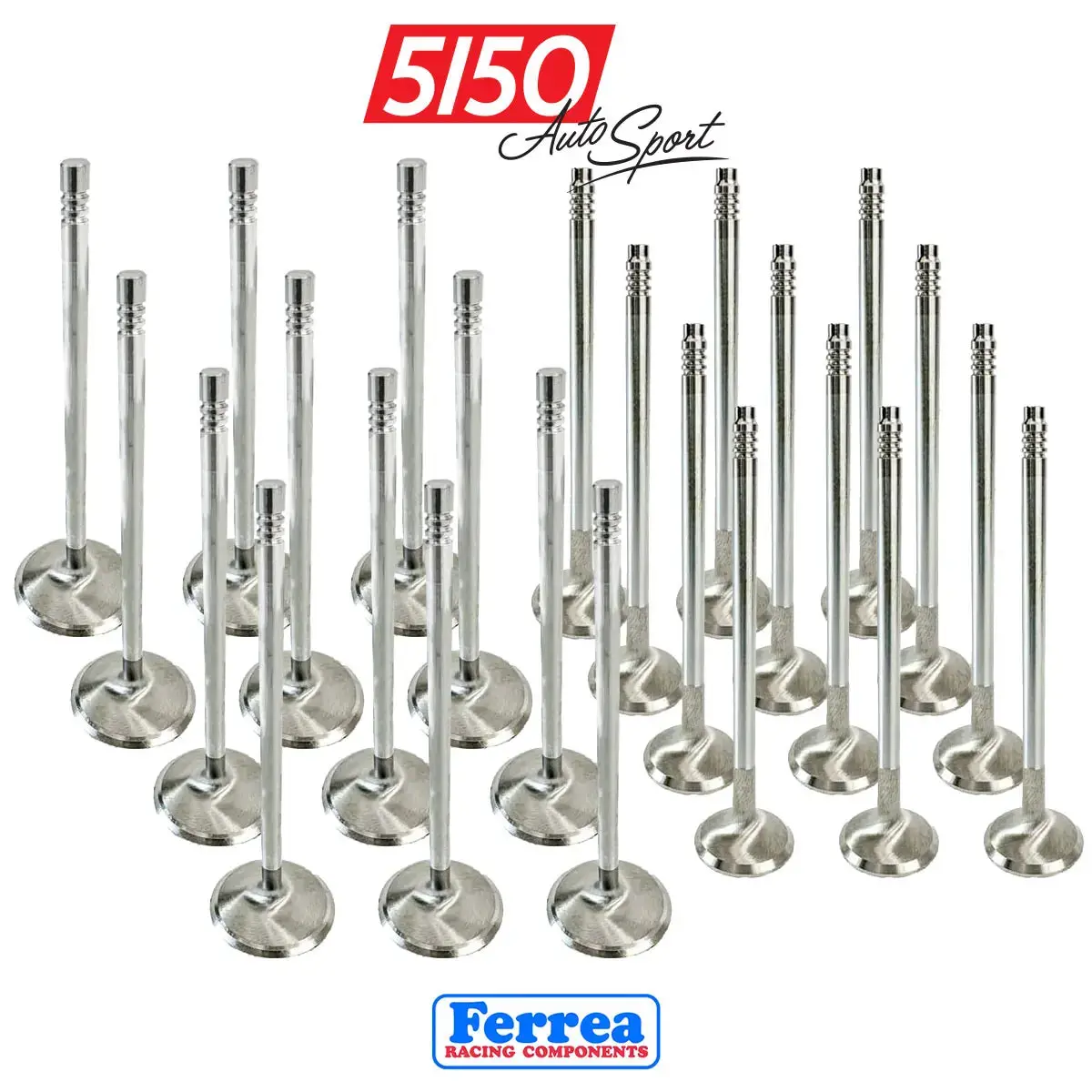 Bmw M52tu / M54 Valves By Ferrea 1