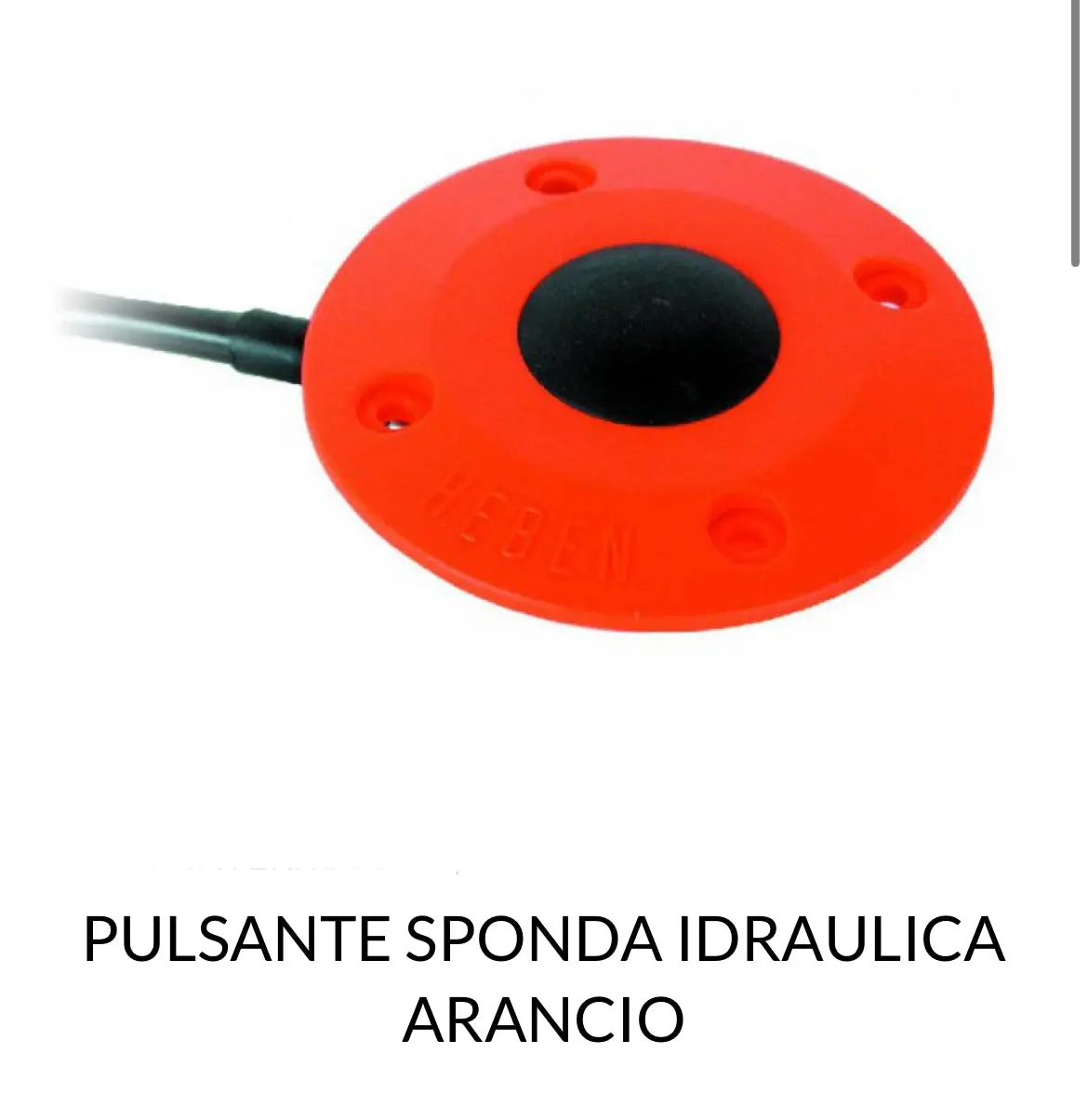 Pulsante Sponda Autocarro 1