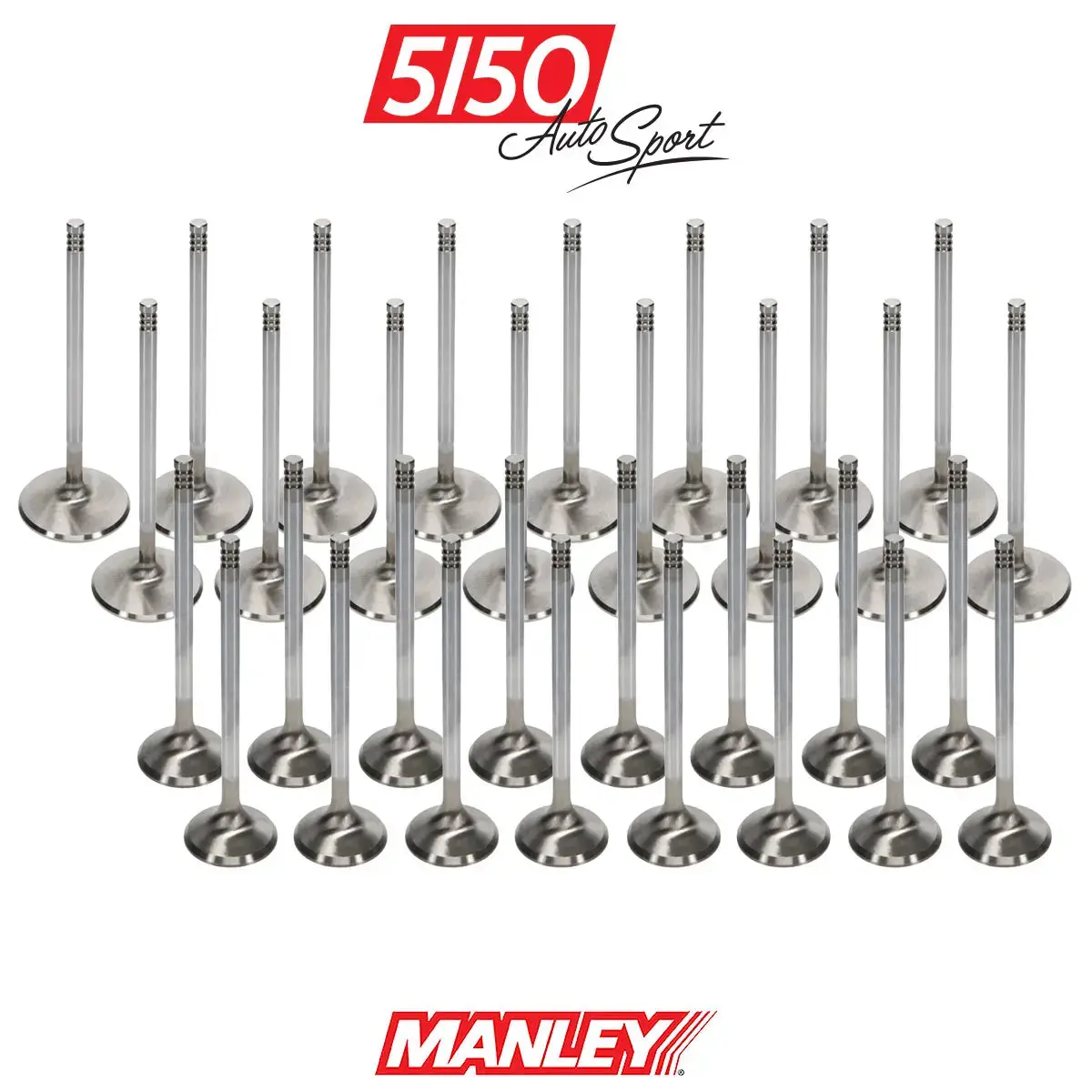 Bmw M60 / M62 Performance Valve Kit 1