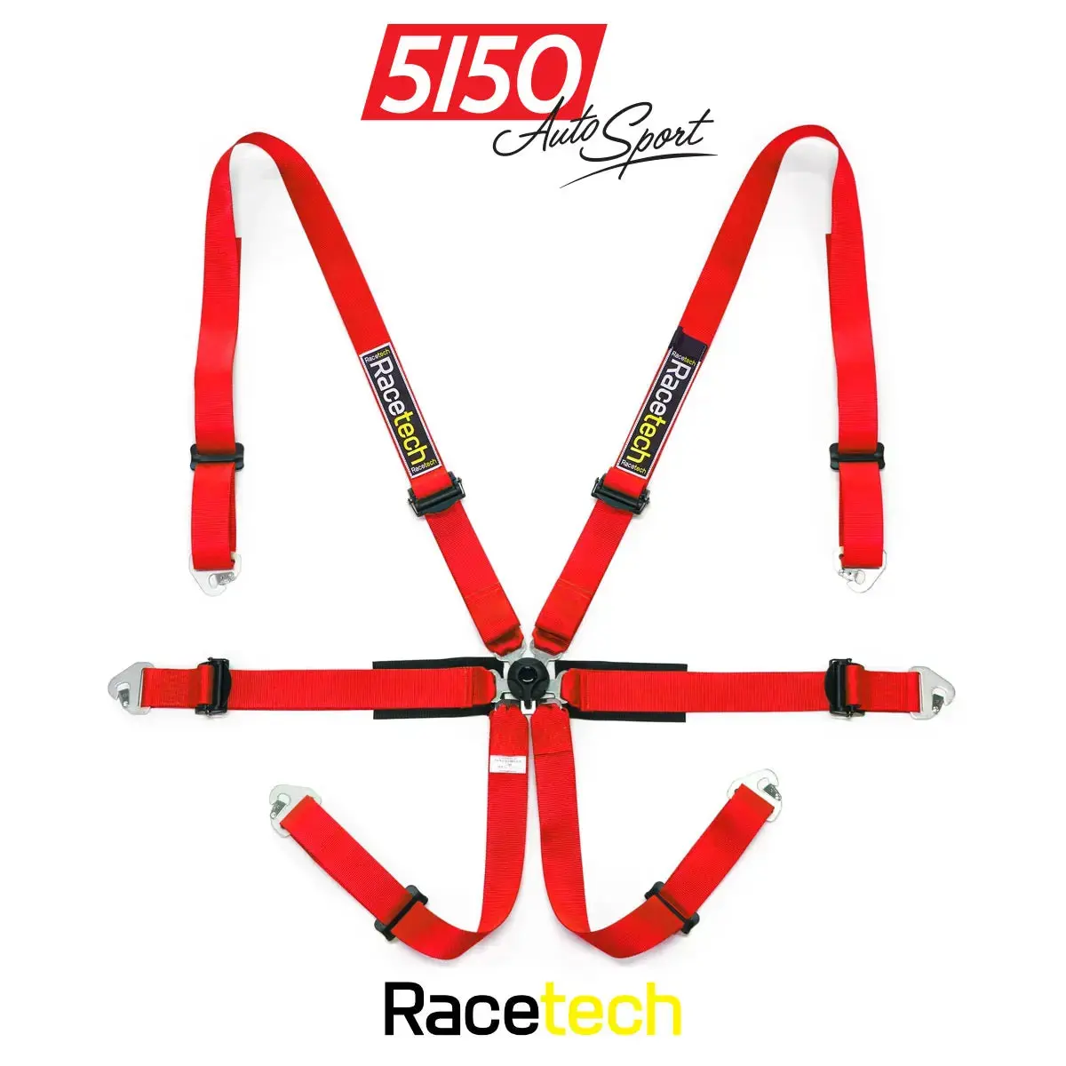 Racetech Pro International 6-Point Harness 1