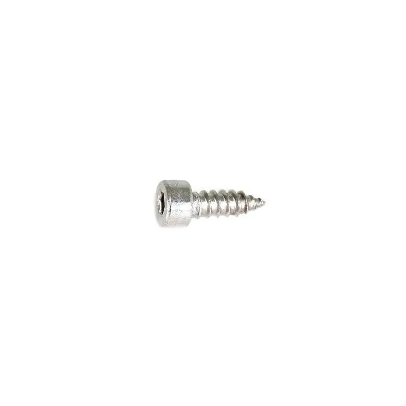 Zspec M4x12mm Coarse Socket-Cap Shsc Fasteners, Stainless, 10-Pack 1