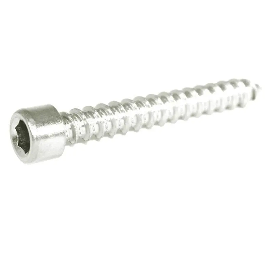 Zspec M6x40mm Coarse Socket-Cap Shsc Fasteners, Stainless, 10-Pack 1